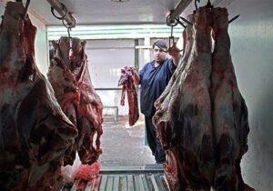 قیمت گوشت شقه گوسفندی در بازار آزاد کیلویی ۴۲۰هزار تومان