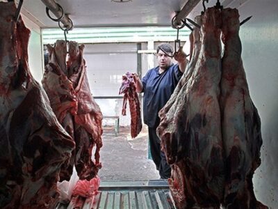 قیمت گوشت شقه گوسفندی در بازار آزاد کیلویی ۴۲۰هزار تومان