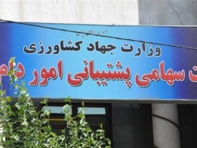 مناقصه ایران برای خرید ۳۰۰ هزار تن ذرت و دانه سویا از بازار جهانی