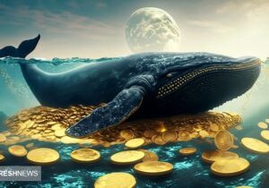 نهنگ ها کدام رمزارز را انبار کردند / برترین ارزهای دیجیتال بازار