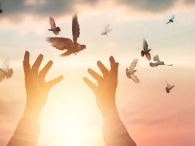 آزادی زندانی بیملاقاتی پس از ۲۰ سال در ملاقات مجازی با رئیس دادگستری استان تهران