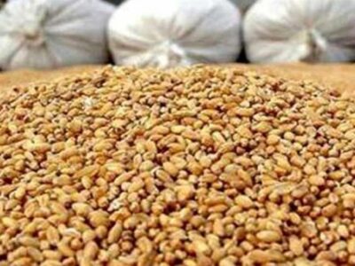 ثبت سفارش سیستمی نهاده دامی و روغن آغاز شد