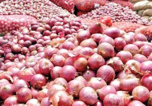 عوارض صادرات پیاز ۱۰۰ درصد شد