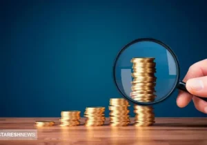 شرایط استفاده از یارانه کالا برگ به جای یارانه نقدی را مشخص شد