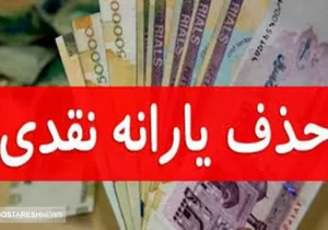 این افراد با یارانه خود خداحافظی کنند | خودروی شخصی باعث حذف یارانه می‌شود ؟