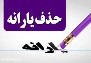 خرید این خودرو باعث حذف یارانه نقدی می شود