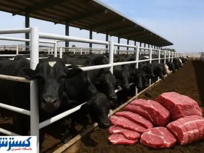 جنجال بر سر گوشت پاکستانی و قزاقستانی | دامدار ایرانی قربانی شد