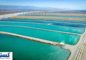 واردات آب به ایران صراحتا تایید شد