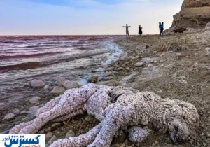 متأسفیم ؛ چشم ایران بر اثر بی مدیریتی از دست رفت