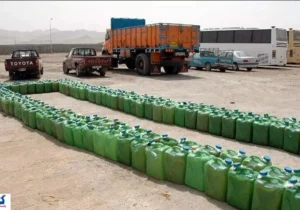 ثروت هنگفتی به کشور برگشت داده شد