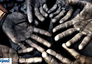 دیوان عدالت به سازمان تامین اجتماعی قدرت اعتراض داد