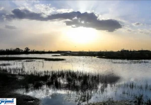 هامون مُرد ؛ سم مهلک زیر جلد یارانه !