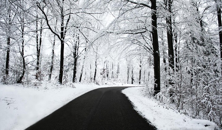 بلیط اتوبوس انزلی به تهران علی بابا