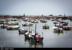 آغاز اجرای پروژههای بهسازی در ۱۷ بندر ماهیگیری کشور