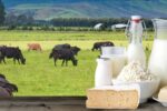 تصمیمگیری درباره قیمت لبنیات در هفته جاری