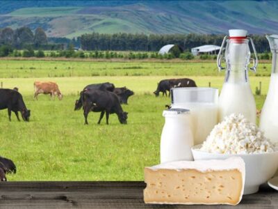 تصمیم‌گیری درباره قیمت لبنیات در هفته جاری