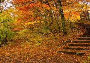 سفر پاییزی با خانواده؛ برنامههای خانوادگی و تفریحات پاییزی