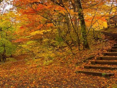 سفر پاییزی با خانواده؛ برنامههای خانوادگی و تفریحات پاییزی