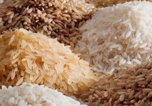 شمال ایران در محاصره برنج‌های خارجی‌/ وقتی قیمت برنج داخلی قربانی سیاست‌های دولت شد!