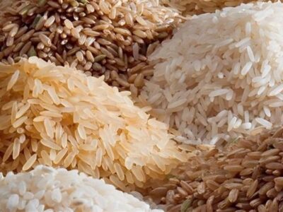 شمال ایران در محاصره برنجهای خارجی/ وقتی قیمت برنج داخلی قربانی سیاستهای دولت شد!