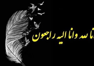 فوری/ جامعه ورزشی کشور عزادار شد