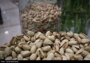 هستهای در کشاورزی ــ ۶۵ | دفع حشرات «پسته» با فناوری هستهای