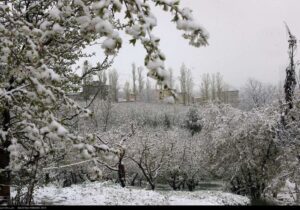 هشدار کاهش ۱۵ درجه‌ای دما در ۲۲ استان با نفوذ توده هوای سرد از فردا