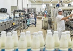 وعده دولت برای کاهش قیمت لبنیات و هشدار داغ درفش به صنایع