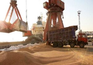 تخلیه و حمل یکسره گندم از کشتی با قطار پس از سال‌ها در بندر شهید رجایی