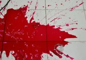 ماجرای هولناک از قتل دختر جوان توسط برادرش در شاهرود