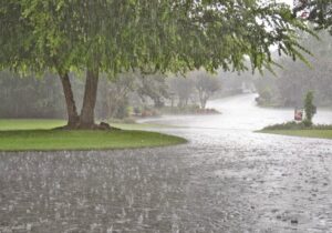 کمبارشی ۷۱ میلیمتری تهران نسبت به میانگین بلندمدت| تداوم کمآبی در نیمه شمالی کشور