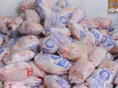 آغاز توزیع مرغ تنظیم بازاری با قیمت ۱۳۲ هزار تومان
