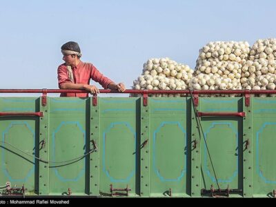 اعلام نرخ رسمی خرید تضمینی سیب‌زمینی و پیاز