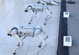 تامین امنیت جام جهانی فوتبال با این سگ‌های عجیب