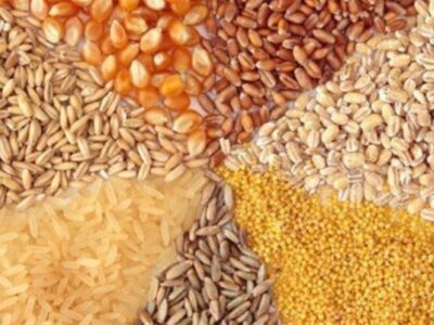 تحویل مدتدار نهاده دامی به مرغداران تصویب شد