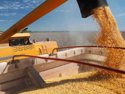 تصمیم جنجالی دولت/ آزمایش مجدد واردات دامی حذف شد