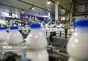 ضرورت ایجاد شبکه یکپارچه حلال در کشور