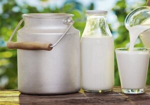 قیمت شیر نایلونی هم لاکچری شد!