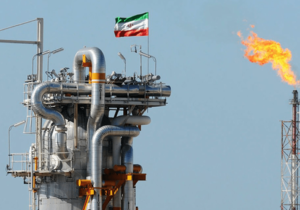 مجوز ویژه پایان سال/ صادرات فرآوردهها با شروط عجیب سه وزارتخانه