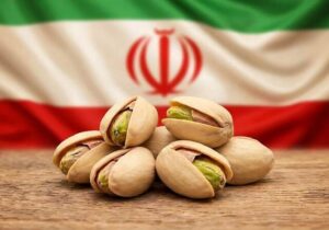 نبرد پسته در بازار جهانی/ آمریکا جایگزین ایران شد