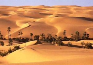 «نجات آب» ــ ۶۹| حمایت از زنجیره ارزش پایدار محصولات در مناطق خشک