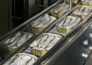 نگاهی به صنعت جهانی کنسرو ماهی تا ۲۰۳۳؛ سهم ۱۰درصدی کنسرو ماهی از تجارت جهانی ماهی