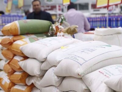 واردات برنج افزایش یافت