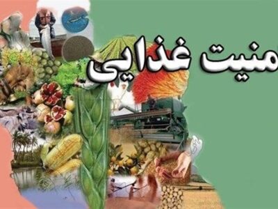 ایران در مسیر تبدیل به هاب امنیت غذایی منطقه با همکاری پاکستان