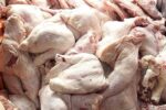 توزیع روزانه ۲۵۰۰ تن مرغ و گوشت قرمز در سطح تهران