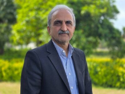 آغاز برداشت برگ سبز چای از ‌اردیبهشت‌ ماه/ افزایش ۳۰ درصدی تولید