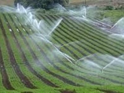 انجام جدی پروژههای آب و خاک در شرایط جنگی