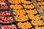 تداوم عرضه سیب و پرتقال تنظیم بازاری