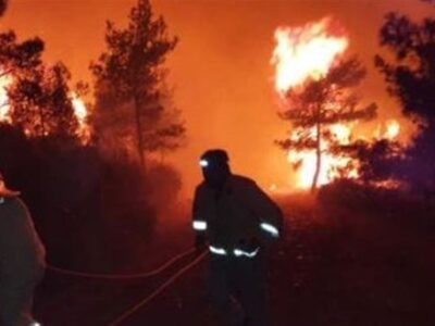 تهدیدهای نوظهور در کمین جنگل‌های هیرکانی؛ خطر آتش‌سوزی نزدیک است