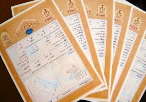 حدنگاری و صدور سند زمینهای کشاورزی تسریع شد